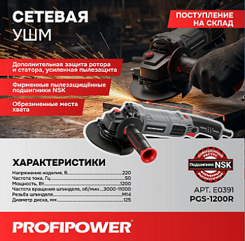 Шлифмашина угл Profipower PGS-1200R 125мм, 1200Вт, 3000-11000об/м, рег/оборотов, NSK подшипник, коробка  E0391  (10)