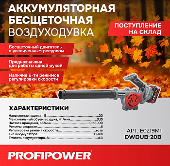 Воздуходувка акк Profipower DWDUB-20B  б/щет, 20В, Li-ion-1шт,  4.0Ач, З/У, коробка  E0219M1  (5)