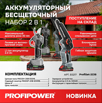 Набор инструментов акк Profipower (2 в 1) Пила цепная акк E0216 + Секатор акк E0099  20В 2*2Ач + ЗУ  E0217  (5)