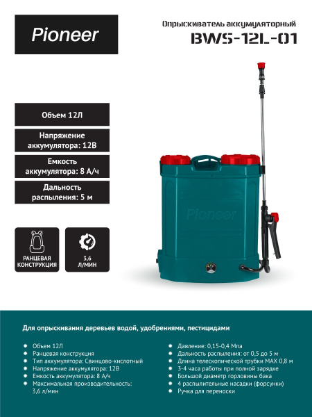 Pioneer BWS-12L-01