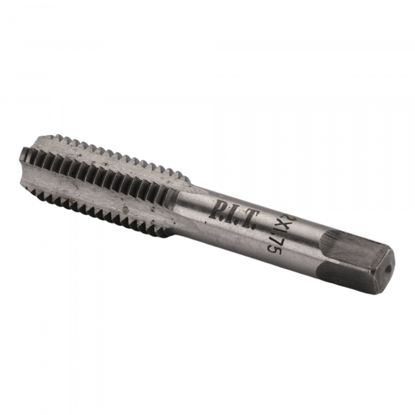 AMED06-M12175
