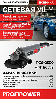Шлифмашина угл Profipower PGS-2500 230мм, 2500Вт, 6500об/мин, 3 положения рукоятки, коробка   E0278  (4)